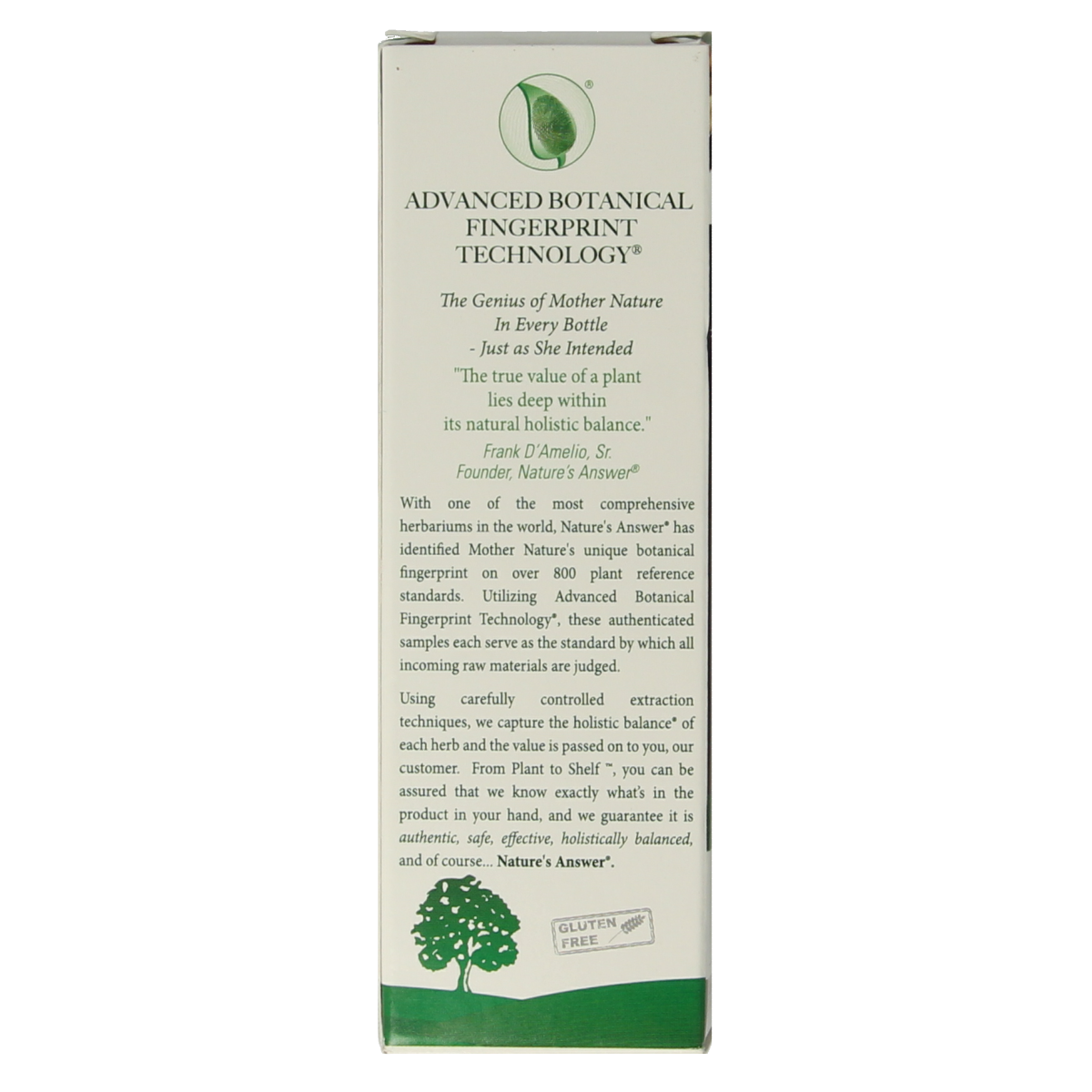 Natures Answer Turmeric-3 Curcuma extract herbal supplement in 30ml bottle, alcohol-free, for natural wellness and anti-inflammatory benefits.