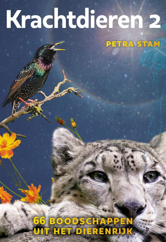 A3 boeken Krachtdieren 2-kaartenset featuring colorful animal illustrations on cards, designed for spiritual or motivational use.