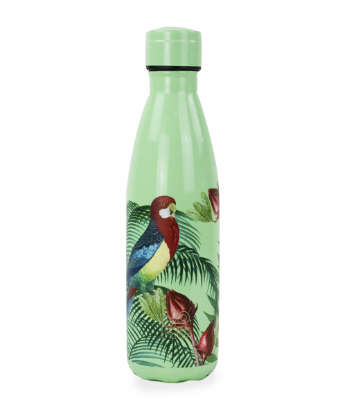 Yoko garden-themed 500ml isothermal drink bottle with parrot design, suitable for cooking and dining use