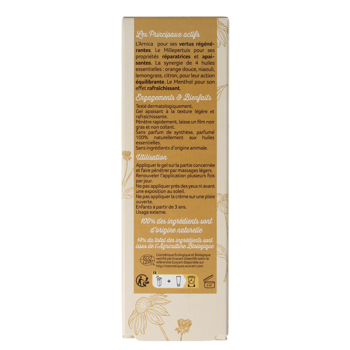 Phytonorm Arnica gel 50ml for body care, featuring natural arnica extract in a clear tube with a white cap.