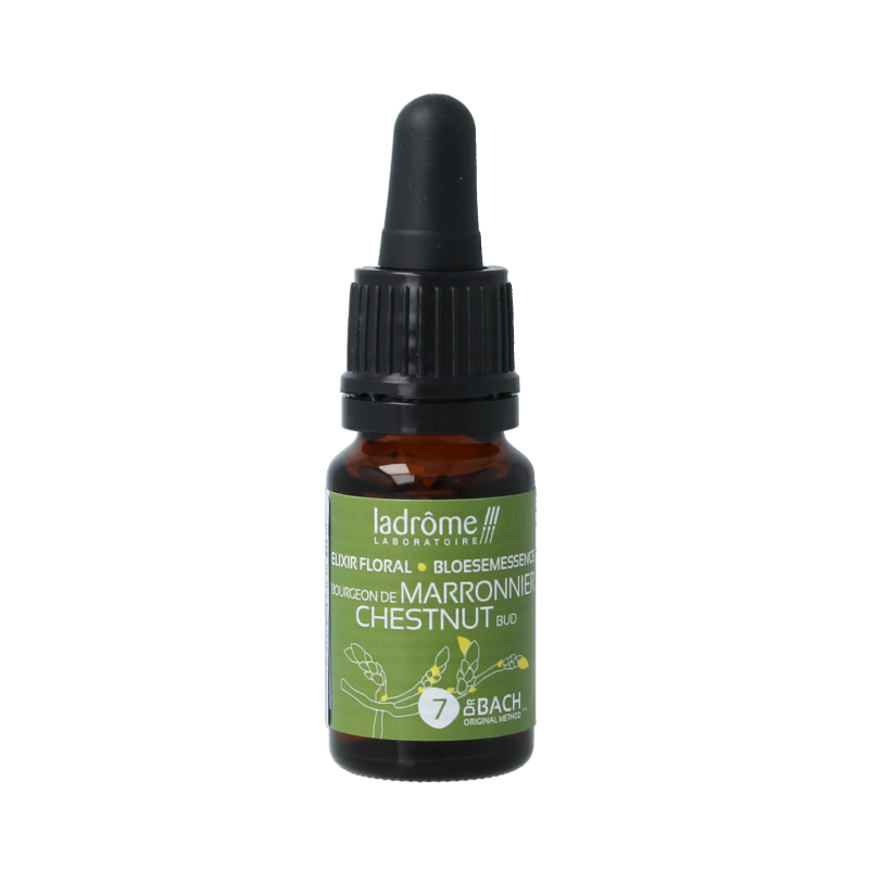 Ladrome Chestnut Bud bio herbal remedy in 10ml bottle, showing the product label and packaging for natural health support.
