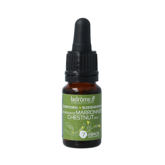 Ladrome Chestnut Bud bio herbal remedy in 10ml bottle, showing the product label and packaging for natural health support.