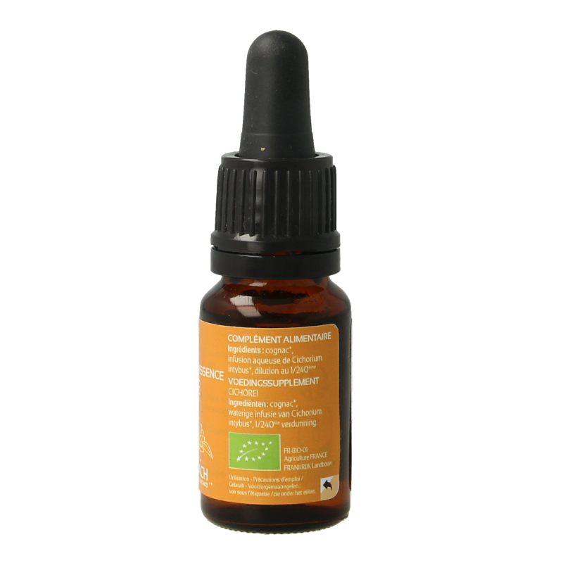 Ladrome Chicoree bio herbal preparation in 10ml bottle, showcasing fresh chicory roots and leaves for natural herbal remedy.