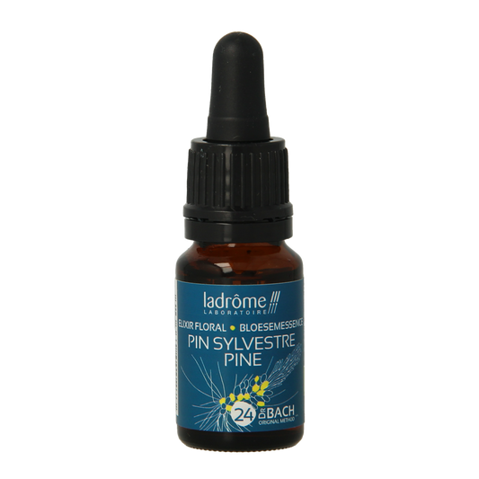 Ladrome Pine Den bio essential oil bottle, 10ml, with pine and den imagery on the label, for aromatherapy and natural wellness.