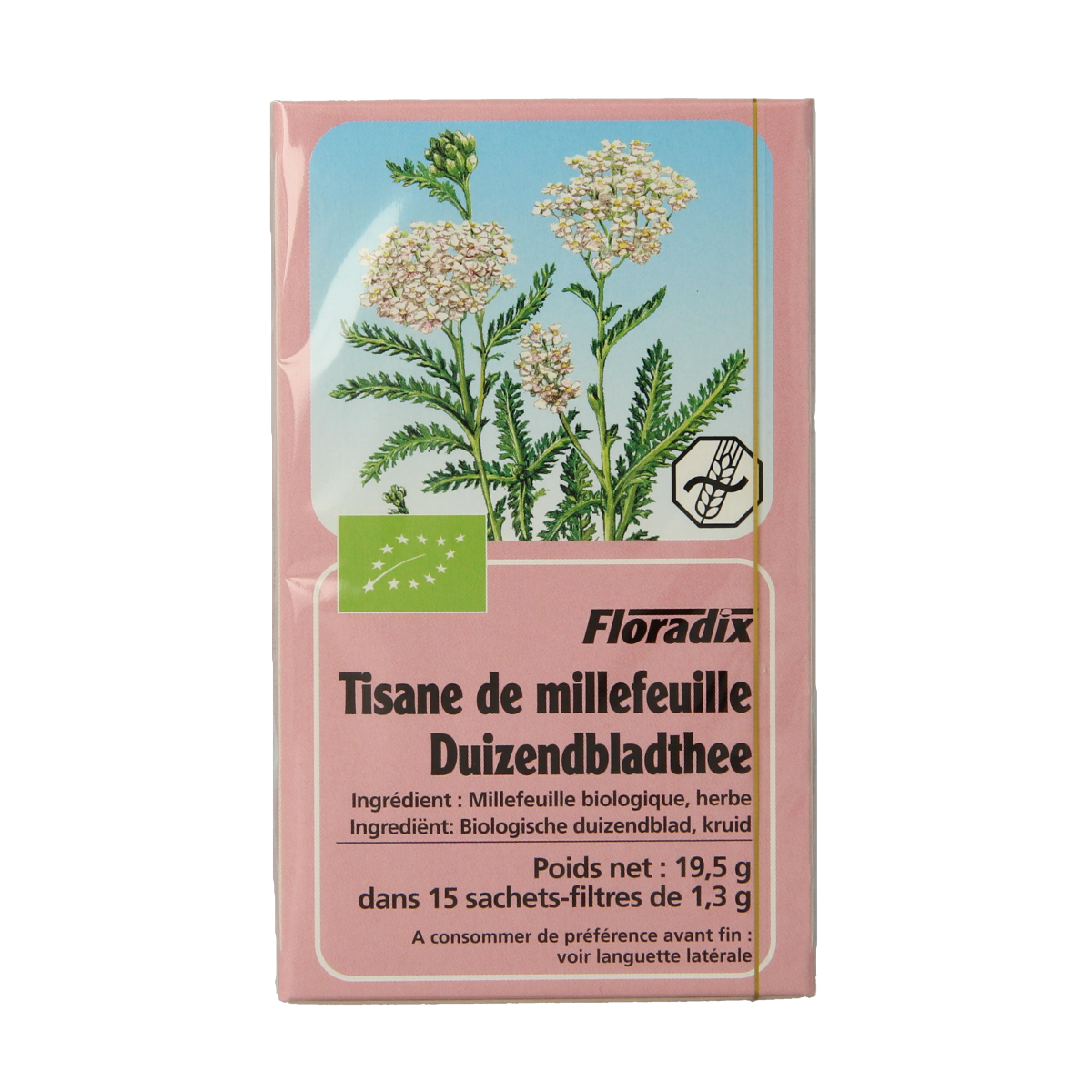 Salus Duizendblad bio tea in a 15-pack, showing herbal tea bags with dried duizendblad leaves and packaging.