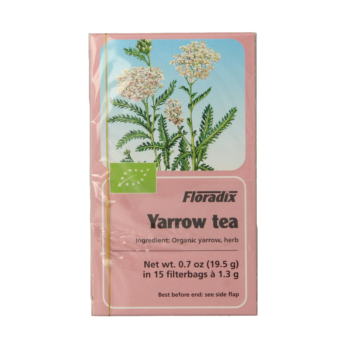 Salus Duizendblad tea in a 15-pack, organic herbal tea with fresh leaves and packaging showing the Salus brand label.