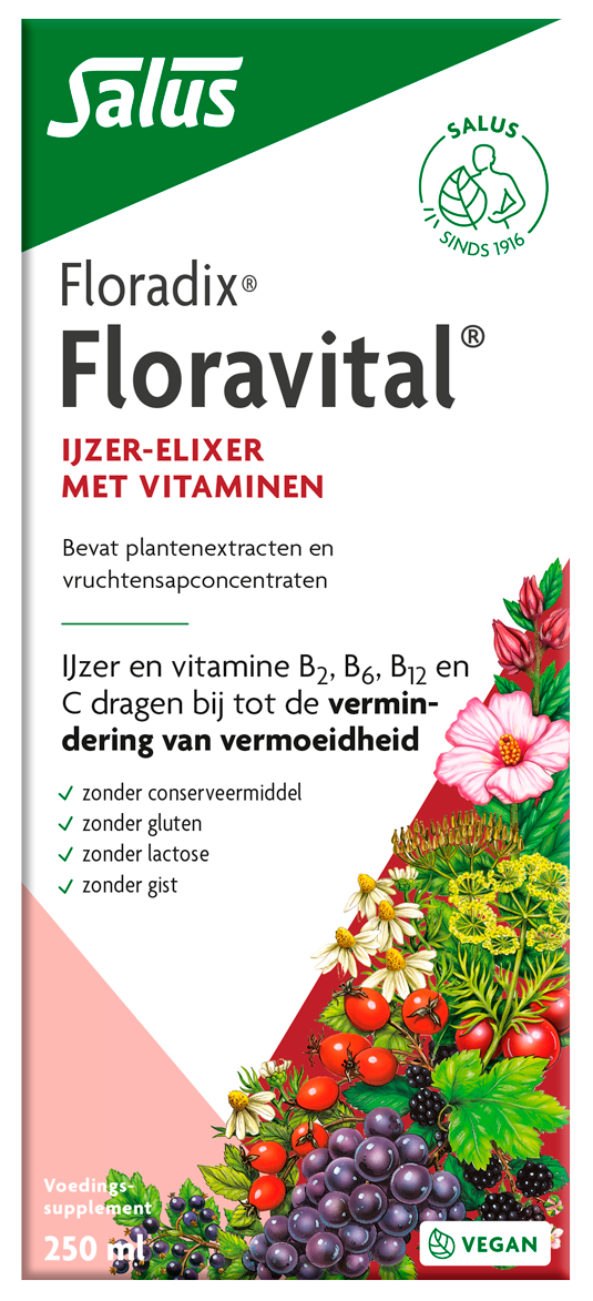 Salus Floradix Floravital multivitamin liquid bottle, 250ml, dietary supplement with herbal and vitamin ingredients.