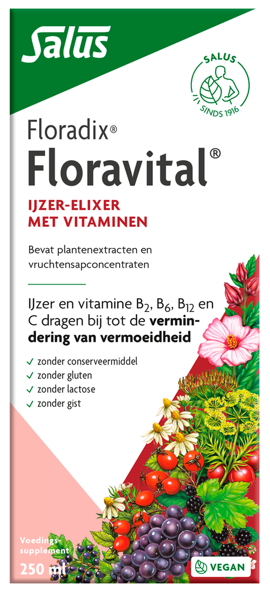 Salus Floradix Floravital multivitamin liquid bottle, 250ml, dietary supplement with herbal and vitamin ingredients.