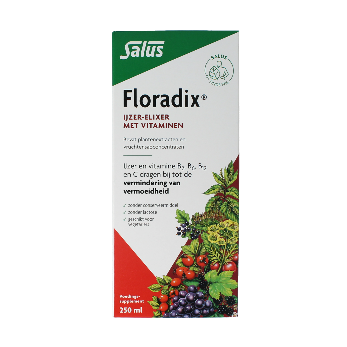 Salus Floradix ijzer elixer in 250ml bottle, herbal supplement for iron support, with a clear view of the product label.