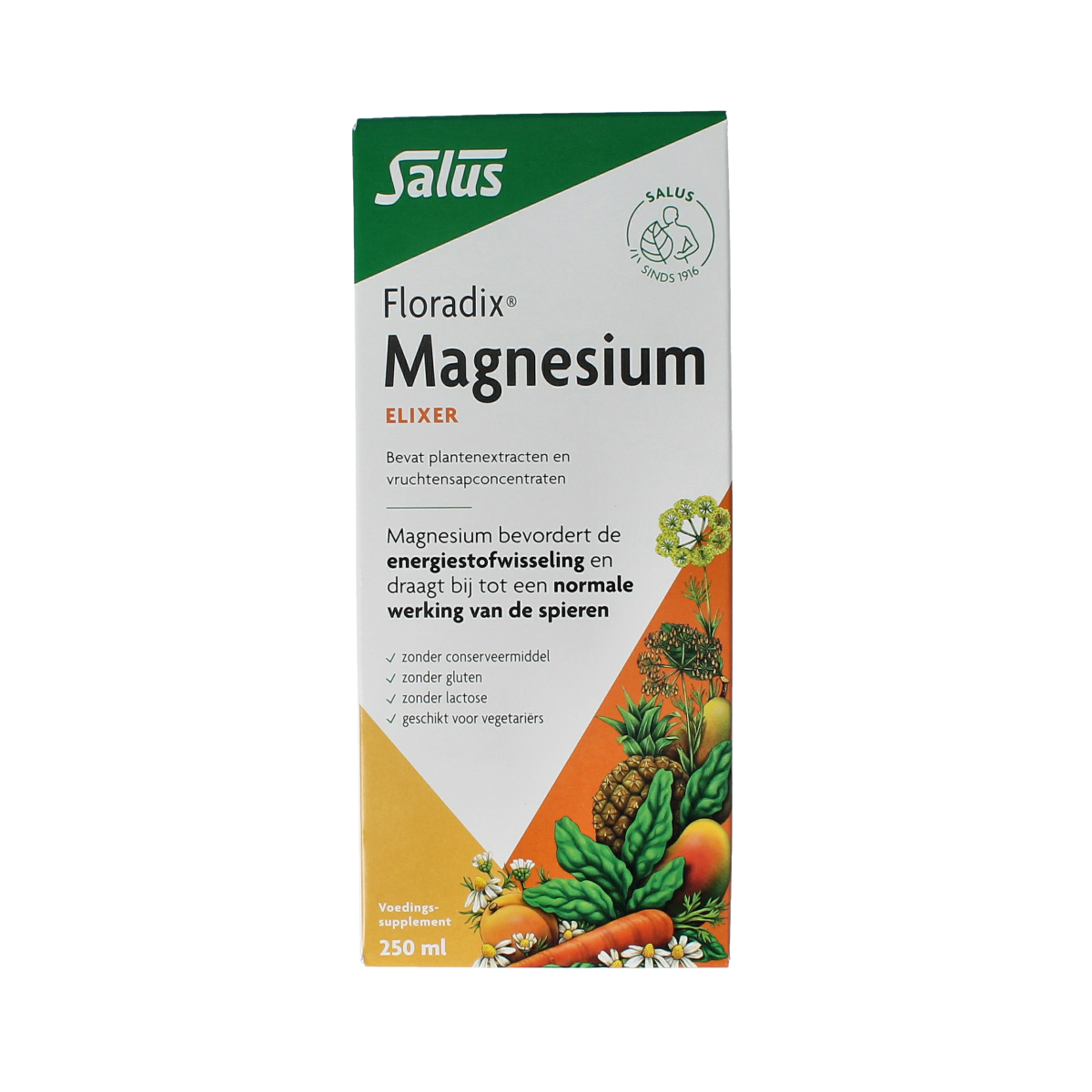 Salus Floradix magnesium mineral supplement bottle, 250ml, with label showing product details and brand logo.