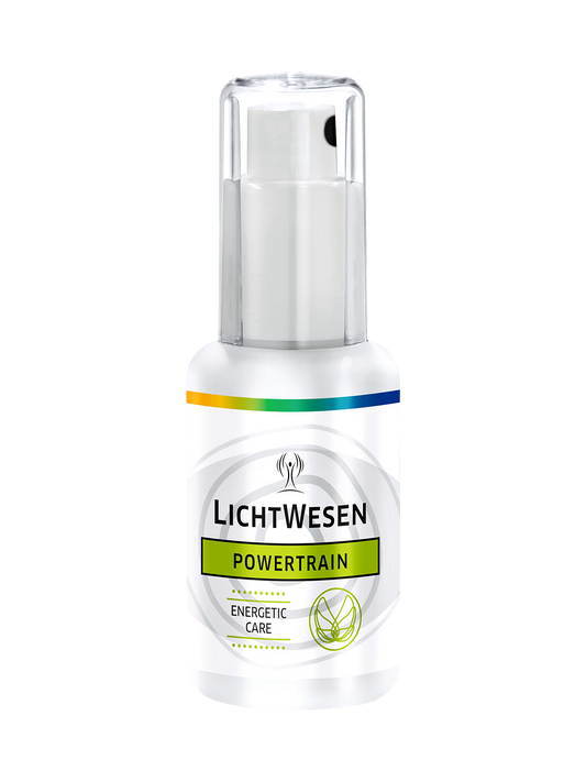 Lichtwesen Powertrain Energie Spray 30ml for body care, featuring natural ingredients in a sleek bottle.
