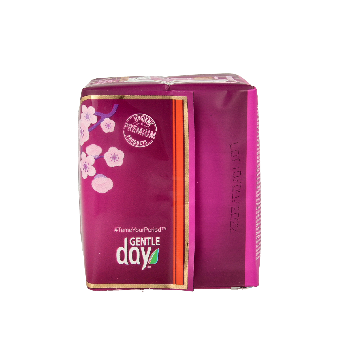 Gentle Day daily menstrual pads for women, pack of 10, soft and comfortable disposable sanitary pads for everyday use.