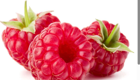 Organic Jacob Hooy raspberry leaf herbal tea in a 20-pack, showcasing dried raspberry leaves in a resealable bag.