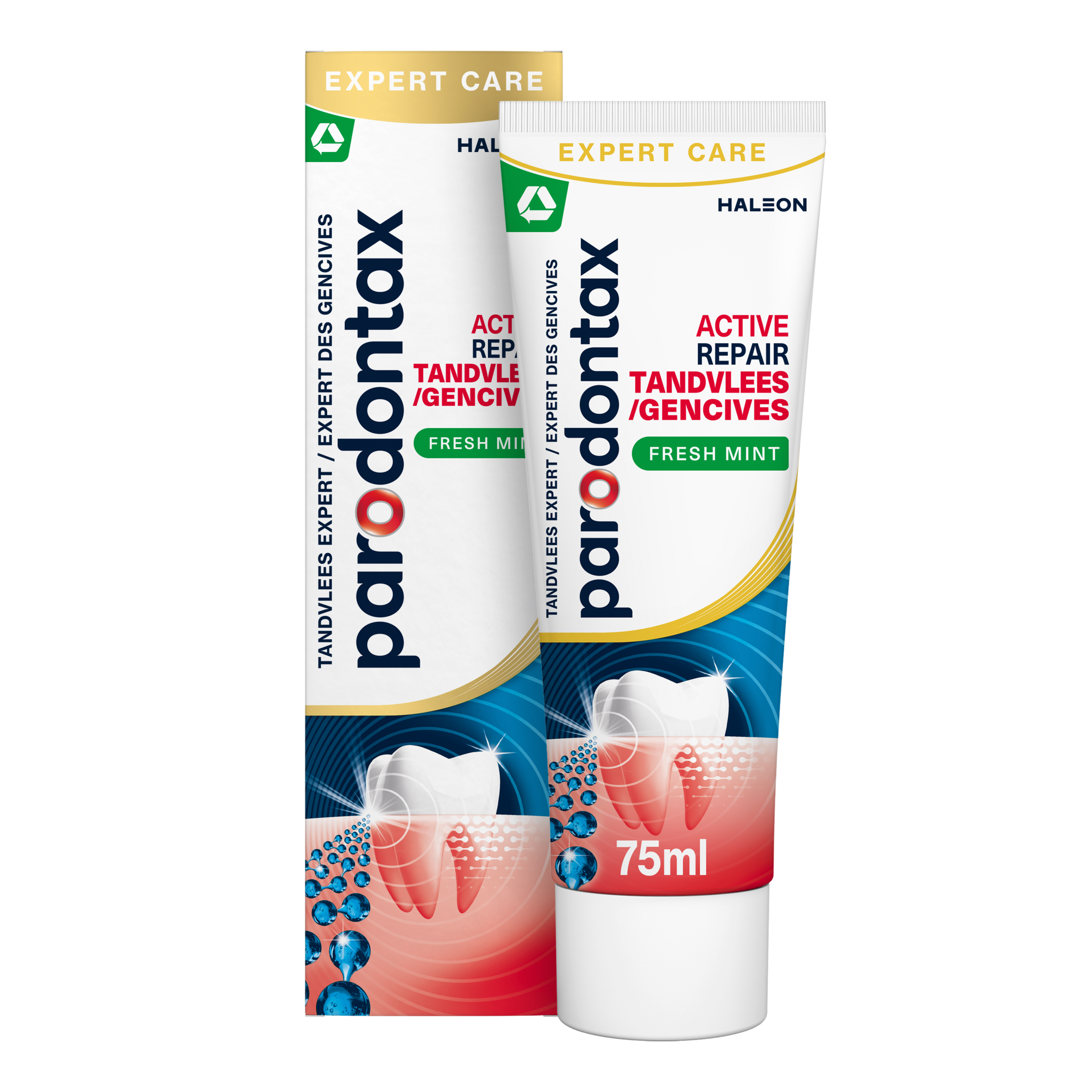 Parodontax Active Gum Repair Fresh Mint toothpaste in 75ml tube with fresh mint flavor and gum health benefits.