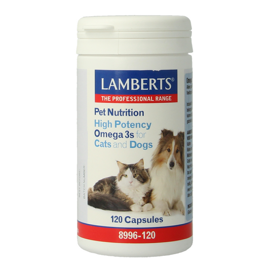 Lamberts Omega 3 capsules for dogs and cats, dietary supplement in a bottle, with 120 capsules for animal health.