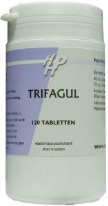 Holisan Trifagul 120 kruidenpreparaten, close-up of the box showing tablets and packaging design.