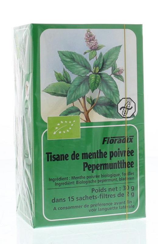 Salus bio pepermunt thee in a box with 15 tea bags, showing fresh mint leaves and tea packaging.