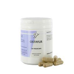 Holisan Ostayur vegetarishe capsules in a container, herbal supplement for digestive support, with herbal ingredients visible on the label.