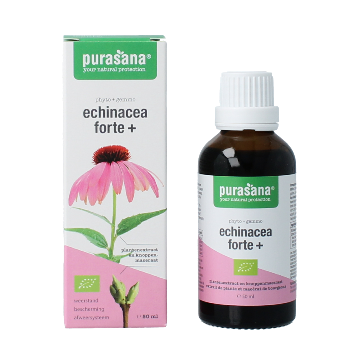 Purasana Echinacea Forte vegan herbal supplement in a 50ml bottle, designed to support immune health and wellness.