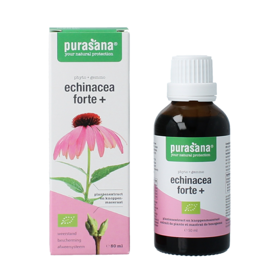 Purasana Echinacea Forte vegan herbal supplement in a 50ml bottle, designed to support immune health and wellness.