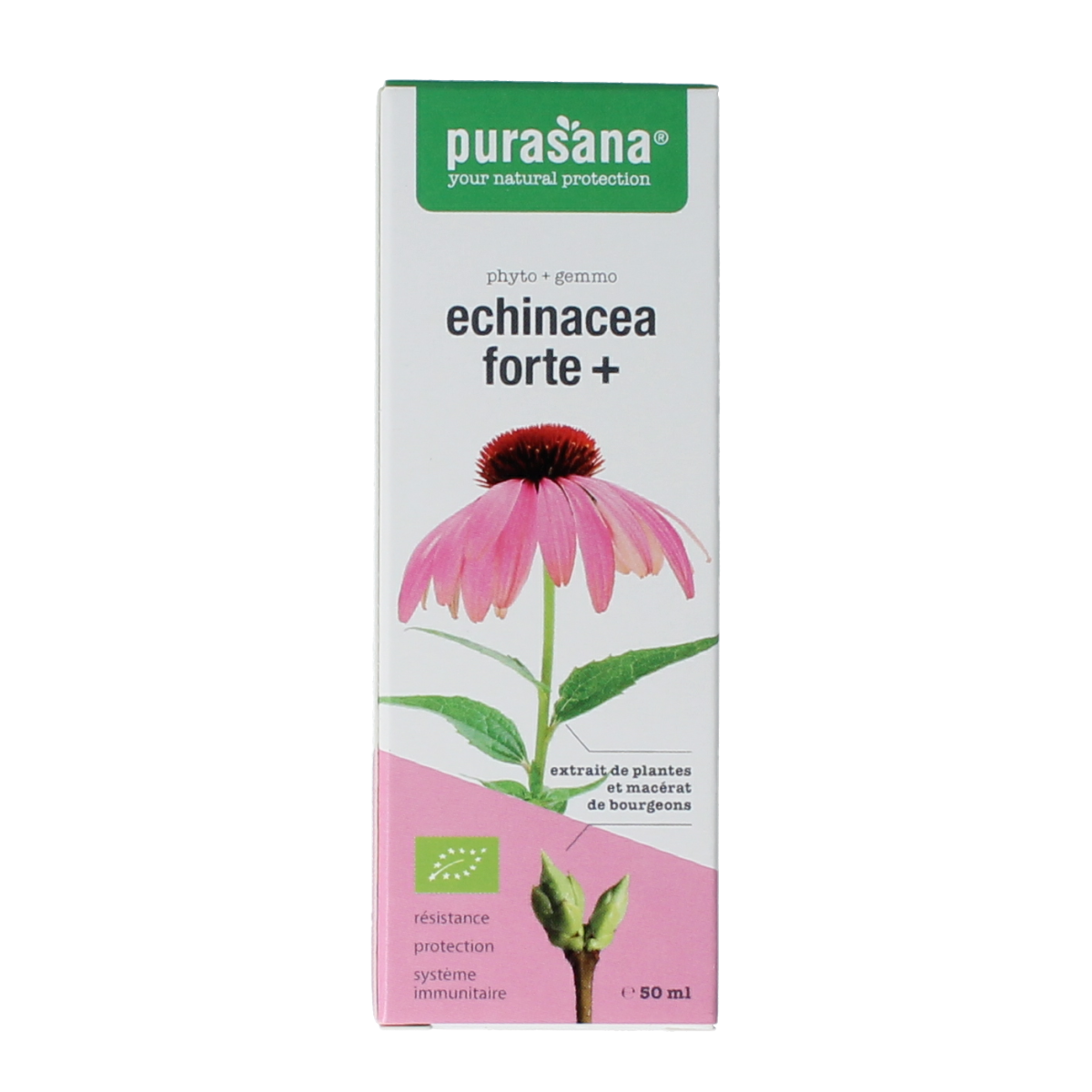 Purasana Echinacea Forte vegan herbal supplement in a 50ml bottle, part of Purasana's herbal preparations collection.