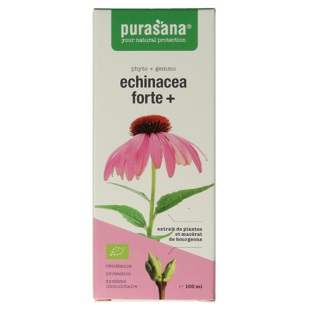 Purasana Echinacea Forte vegan herbal supplement in a 100ml bottle, featuring fresh Echinacea flowers and natural herbal ingredients.