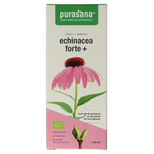 Purasana Echinacea Forte vegan herbal supplement in a 100ml bottle, featuring fresh Echinacea flowers and natural herbal ingredients.