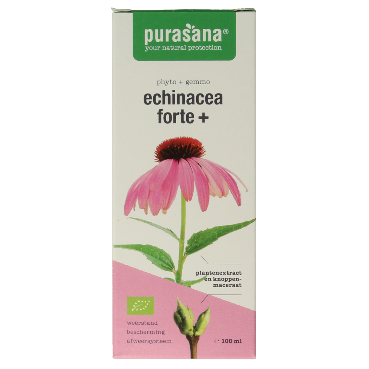 Purasana Echinacea Forte vegan herbal extract in a 100ml bottle, featuring fresh echinacea plants for immune support.