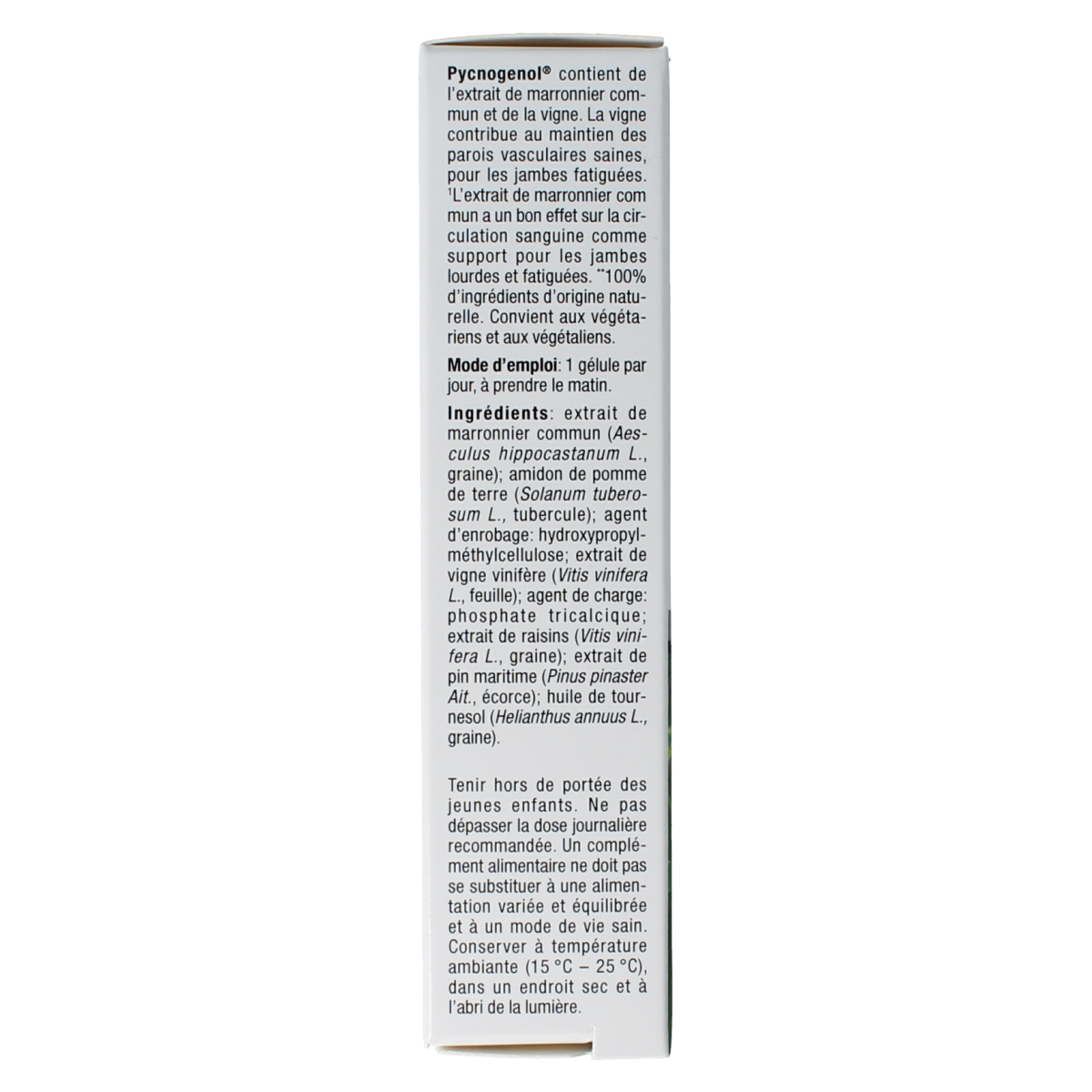 Fytostar Pycnogenol herbal supplement capsules in a bottle, natural antioxidant support from Fytostar brand.