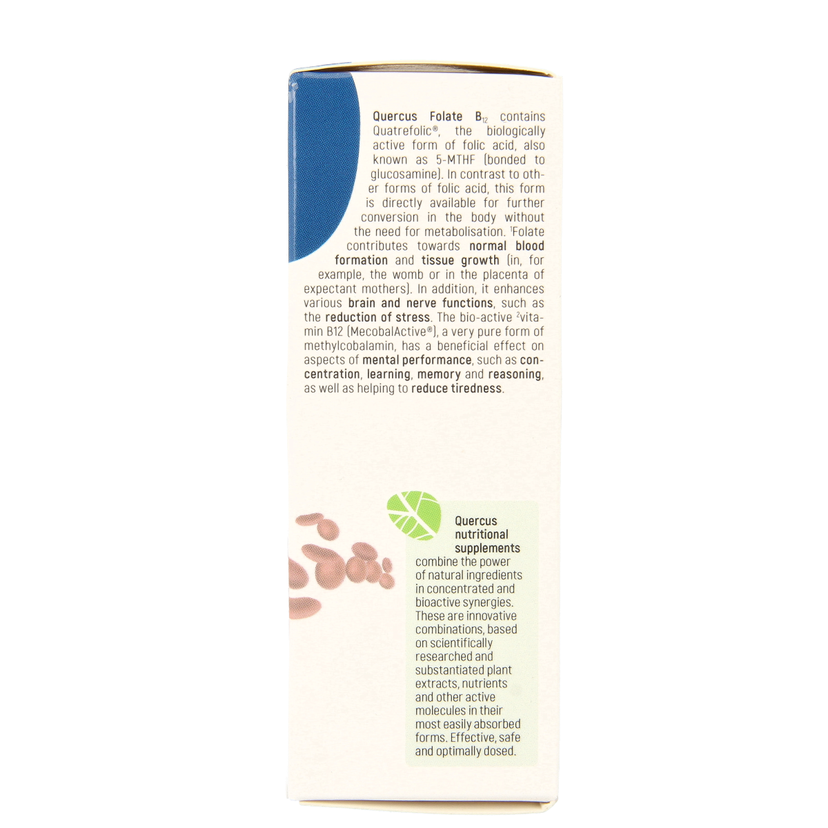 Bottle of Quercus Folate B12 multivitamin tablets with label showing 80 tablets, natural supplement for health support.