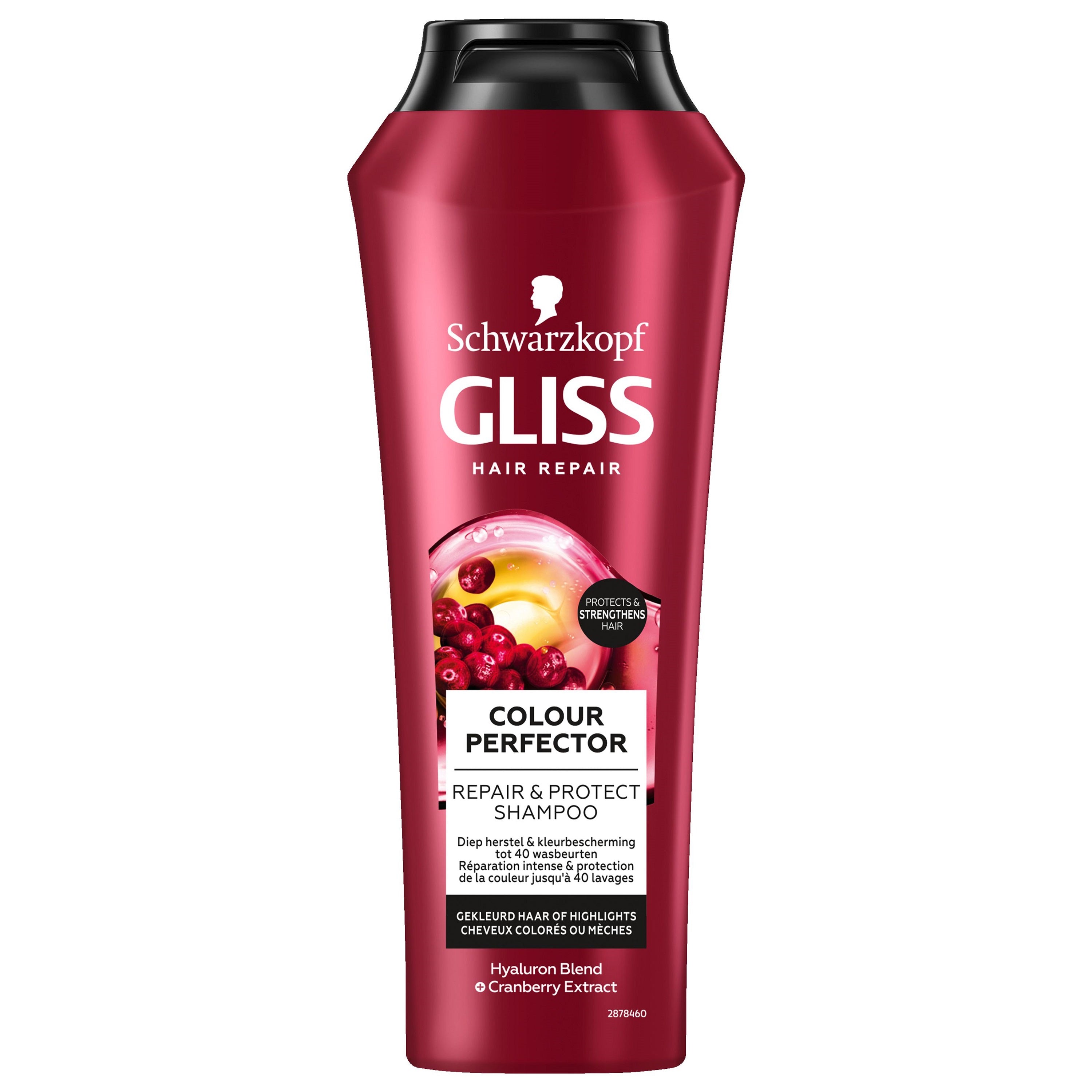 Gliss Kur Colour Perfector Shampoo bottle, 250ml, for hair care and color protection, with purple and white packaging.