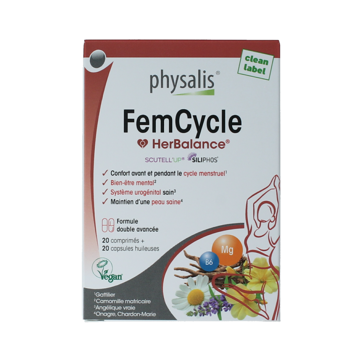 Physalis FemCycle 40 capsules, nutritional supplement with herbal ingredients, displayed in clear package on white background.