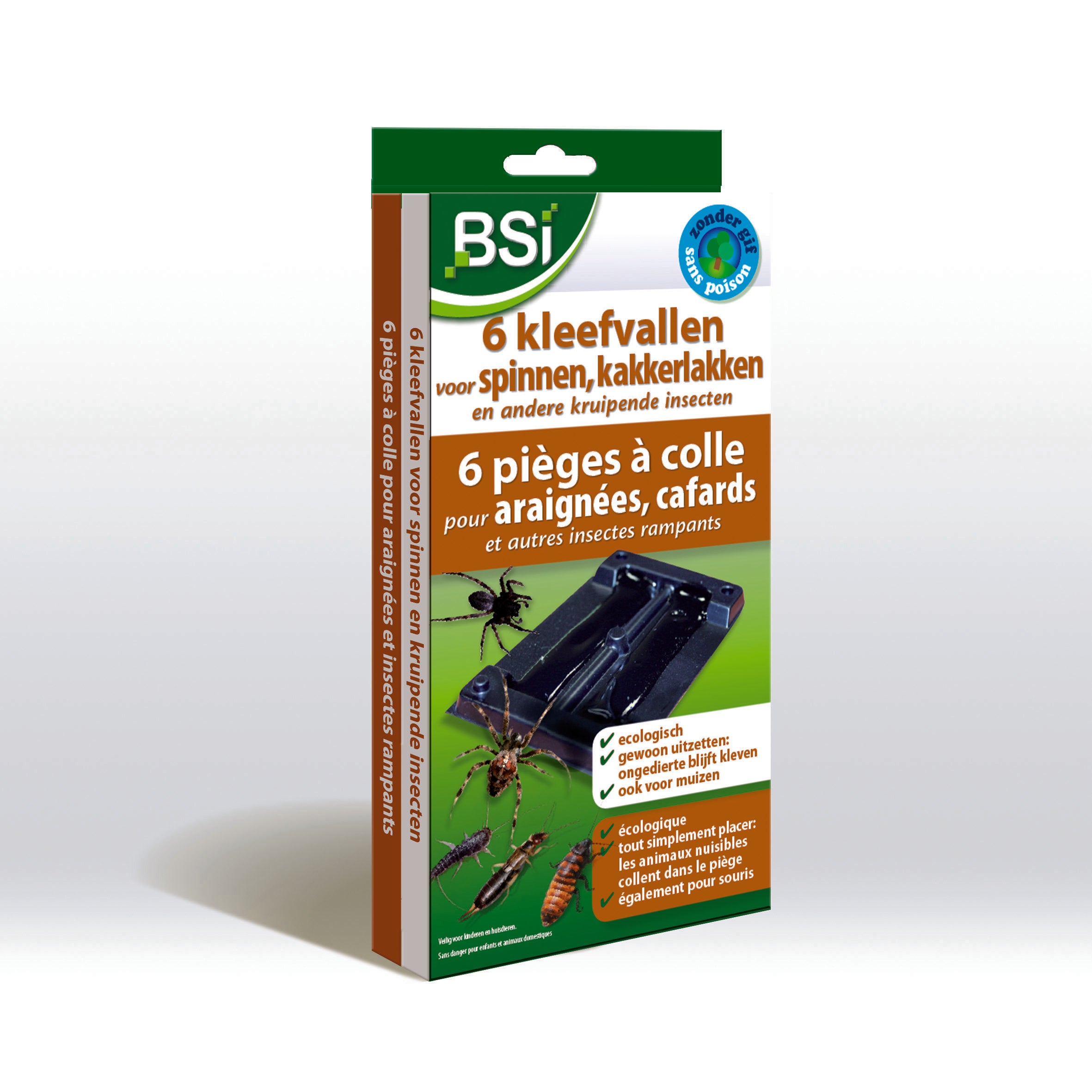 Set of six BSI spider glue traps for home and comfort, designed to catch spiders effectively.