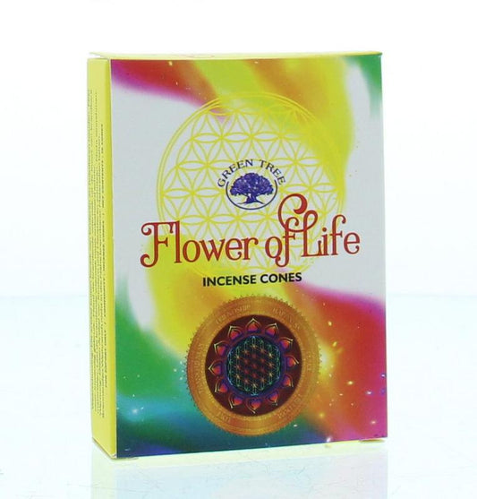 Green Tree Kegelwierook incense sticks with flower of life design, 10-pack, natural herbal aromatherapy product in open packaging.