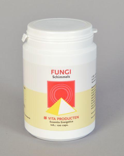 Vita Fungi Kruidenpreparaten capsules in a bottle, dietary supplement with natural mushroom extract for immune support.