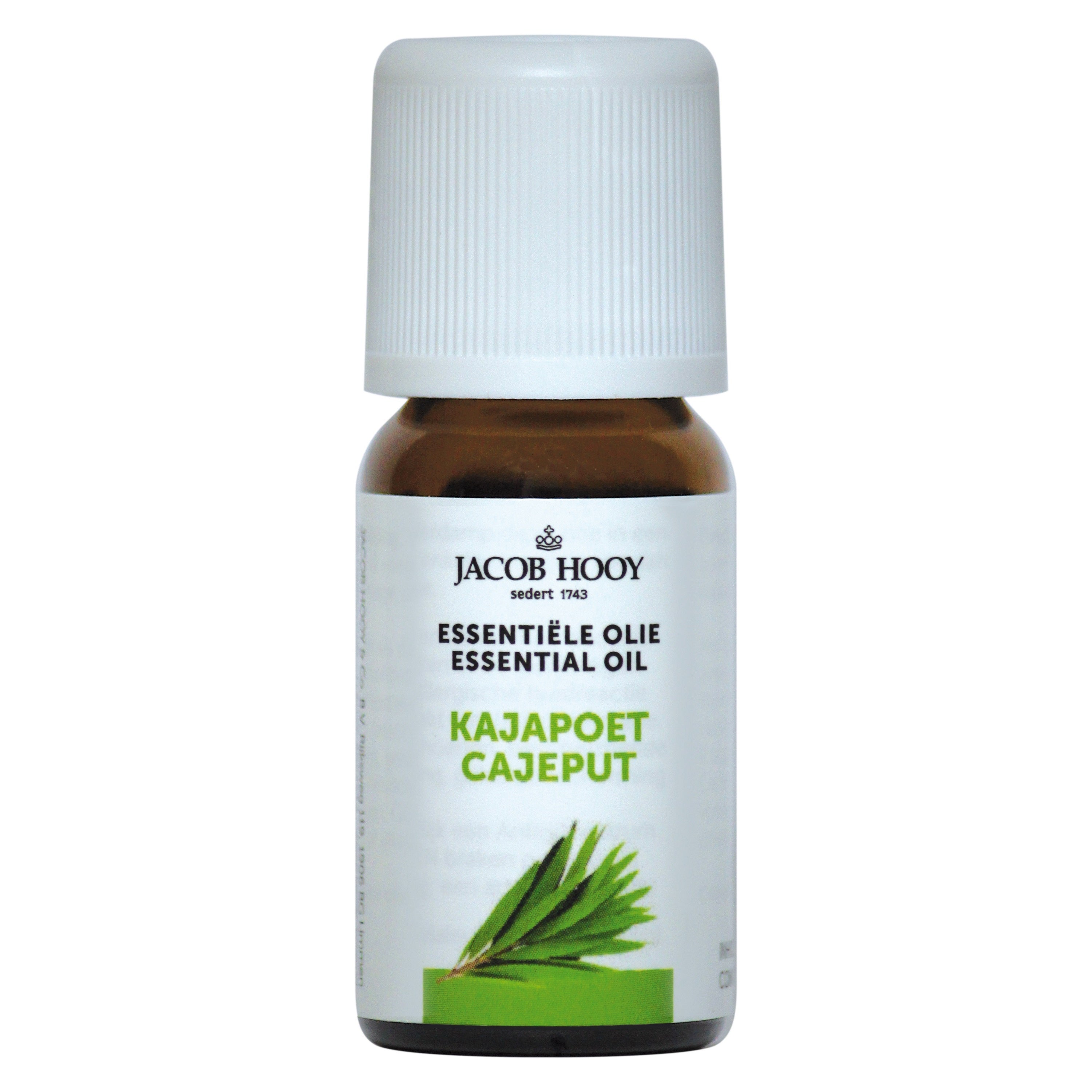 Jacob Hooy Kajapoet essential oil in a 10ml bottle, featuring clear glass container with a black cap and a white label.