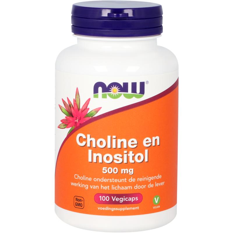 NOW Choline and Inositol 500mg vegetarian capsules, dietary supplement in a white bottle with capsules visible inside.