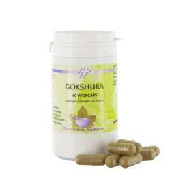 Holisan Gokshura herbal capsules in a bottle, dietary supplement for wellness, vegetarian herbal product in natural packaging.