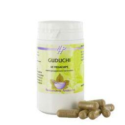 Holisan Guduchi vegetarian capsules, herbal supplement in a bottle, showing the label and capsules inside