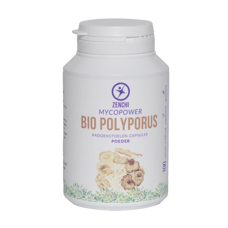 Mycopower Polyporus bio capsules in a bottle, herbal supplement for immune support from Mycopower.