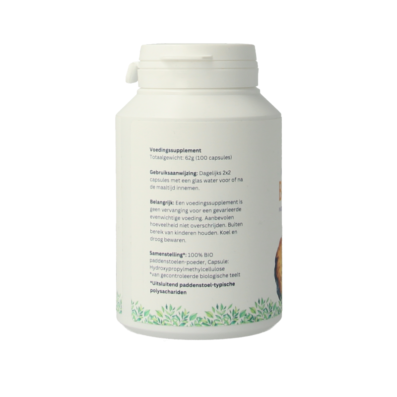 Mycopower Chaga bio 100 capsules bottle, herbal supplement from Kruidenpreparaten line, with label showing capsules and branding.