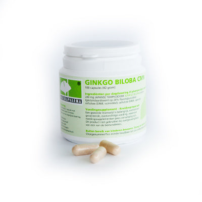 Naturapharma Ginkgo biloba CMN plus herbal capsules, vegetarian supplement in a bottle with capsules visible.