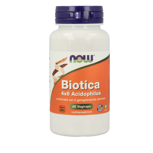NOW Biotica 4x6 acidophilus vegetarian capsules, probiotic supplement featuring micro-organisms in a clear bottle.