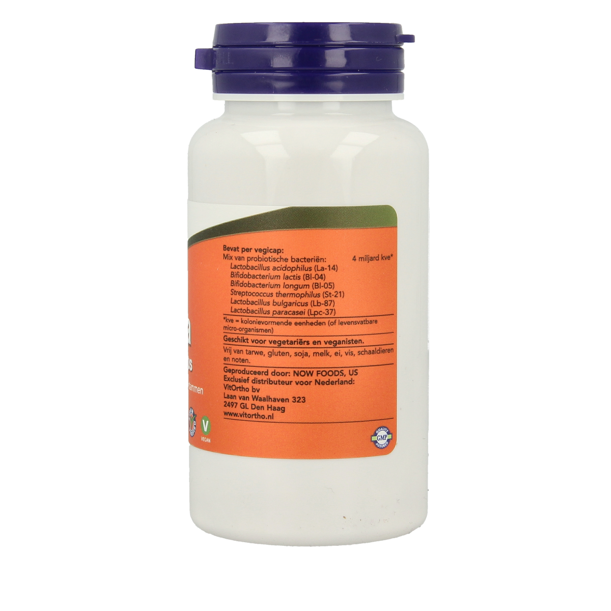 NOW Biotica 4x6 acidophilus vegetarian capsules, probiotic supplement with micro-organisms for digestive health, shown in the image.