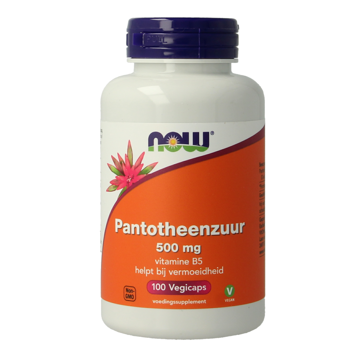 NOW Vitamin B5 Pantothenic Acid 500mg vegetarian capsules, close-up of the supplement bottle and capsules.