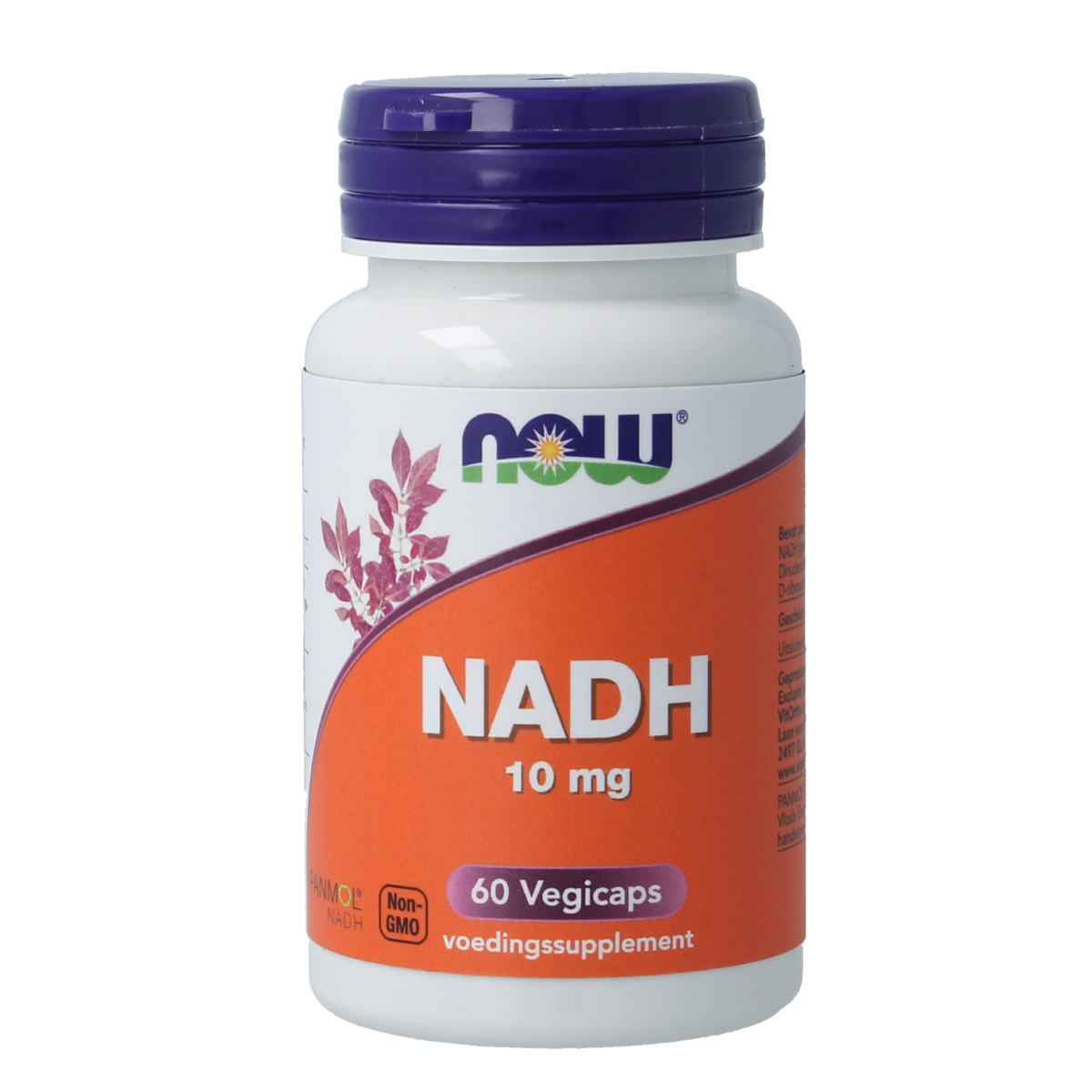 Vegetarian VitOrtho NADH 10mg supplement capsules, 60 count, close-up of the bottle with capsules visible inside.