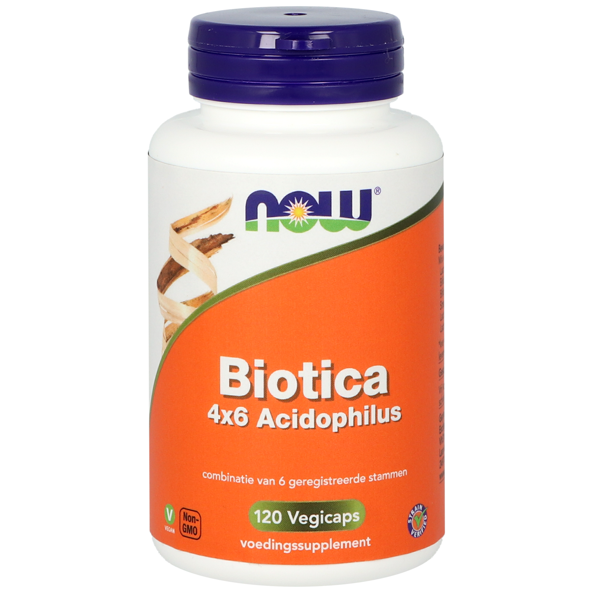 NOW Biotica 4 x 6 acidophilus vegetarian capsules containing micro-organisms for digestive health, shown in a blister pack.