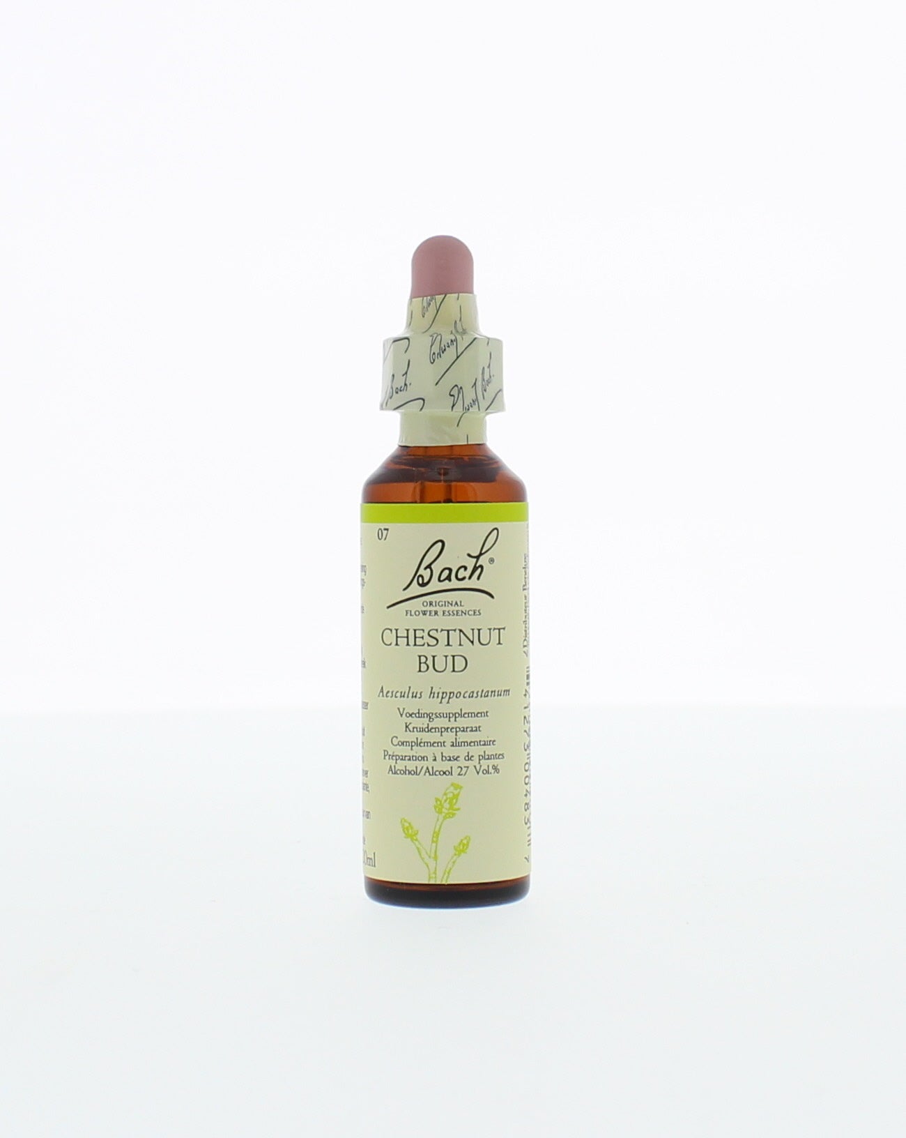 Bach Chestnut Bud herbal preparation in a 20ml bottle, featuring a clear label with herbal remedy branding.