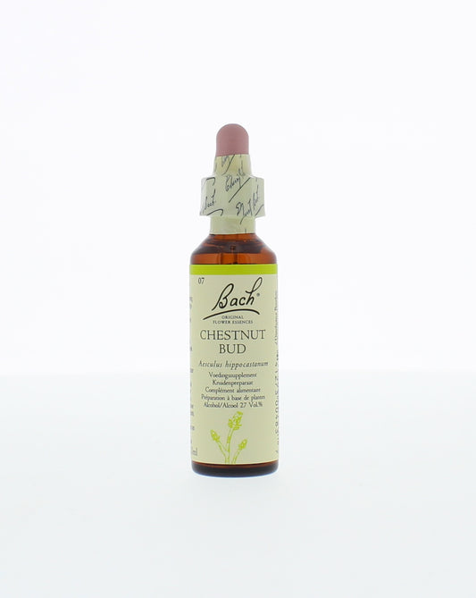 Bach Chestnut Bud herbal preparation in a 20ml bottle, featuring a clear label with herbal remedy branding.