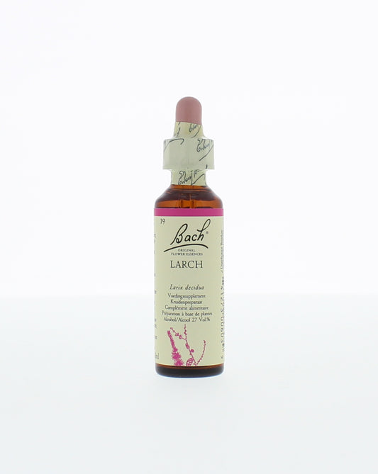 Bach Larch herbal preparation bottle with dropper, 20ml, in a clear glass container for herbal remedies.